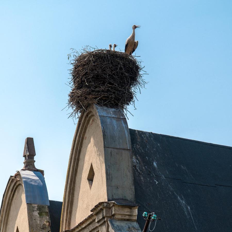 Zamek Sarny - Schloss Scharfeneck Klodzko Bagian luar foto