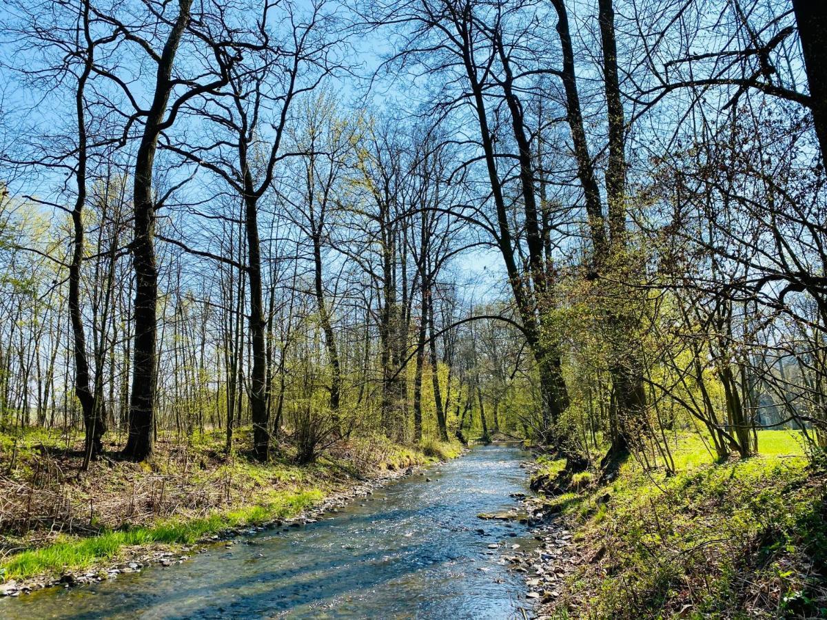 Zamek Sarny - Schloss Scharfeneck Klodzko Bagian luar foto